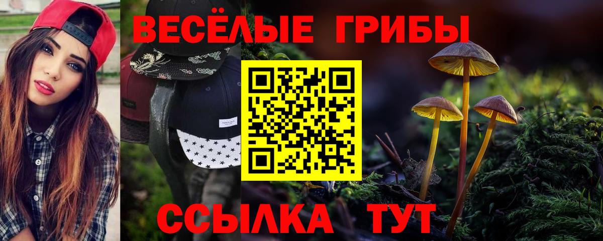 Псилоцибиновые грибы MAGIC MUSHROOMS Астрахань